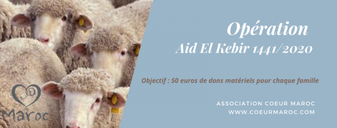 Aid moubarak said (2)